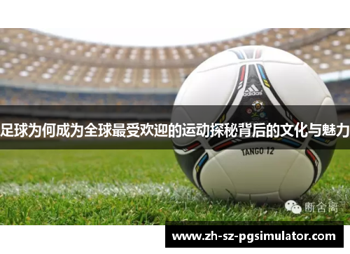 足球为何成为全球最受欢迎的运动探秘背后的文化与魅力 足球为何成为全球最受欢迎的运动探秘背后的文化与魅力
