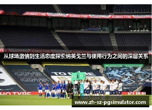 从球场激情到生活态度探索纳英戈兰与使用行为之间的深层关系 从球场激情到生活态度探索纳英戈兰与使用行为之间的深层关系
