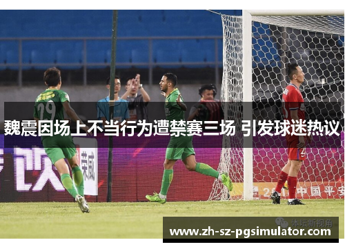 魏震因场上不当行为遭禁赛三场 引发球迷热议 魏震因场上不当行为遭禁赛三场 引发球迷热议