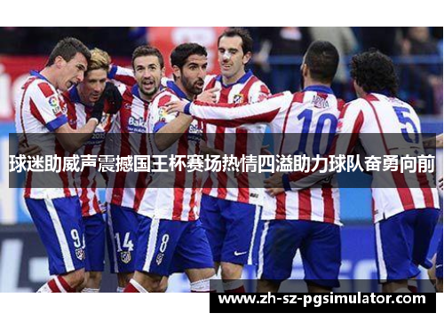 球迷助威声震撼国王杯赛场热情四溢助力球队奋勇向前