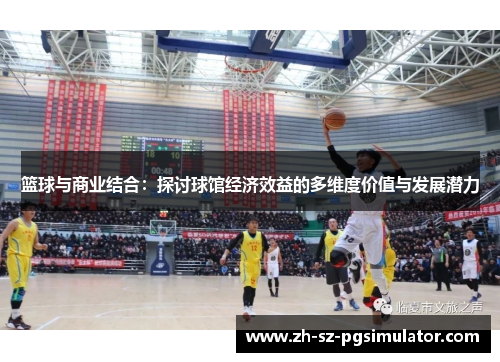 篮球与商业结合：探讨球馆经济效益的多维度价值与发展潜力