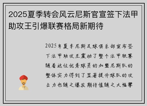 2025夏季转会风云尼斯官宣签下法甲助攻王引爆联赛格局新期待