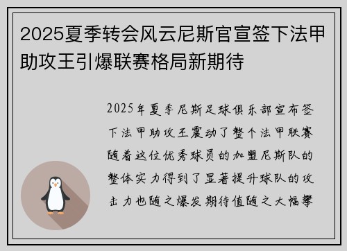 2025夏季转会风云尼斯官宣签下法甲助攻王引爆联赛格局新期待